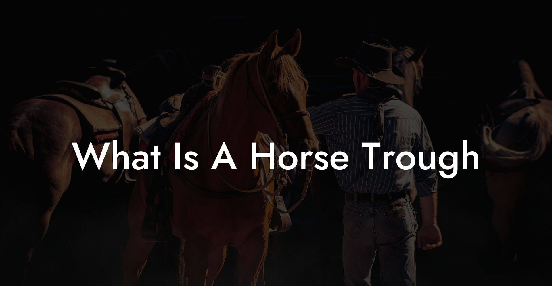 What Is A Horse Trough