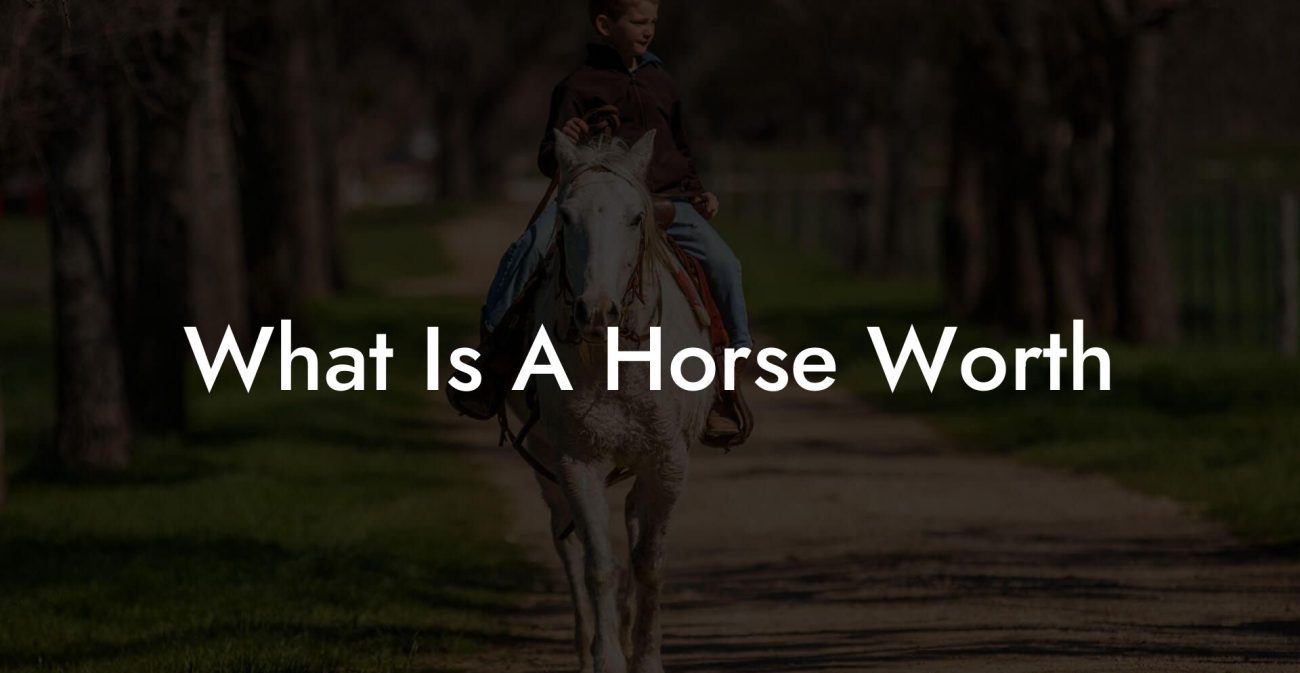 What Is A Horse Worth