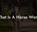 What Is A Horse Worth