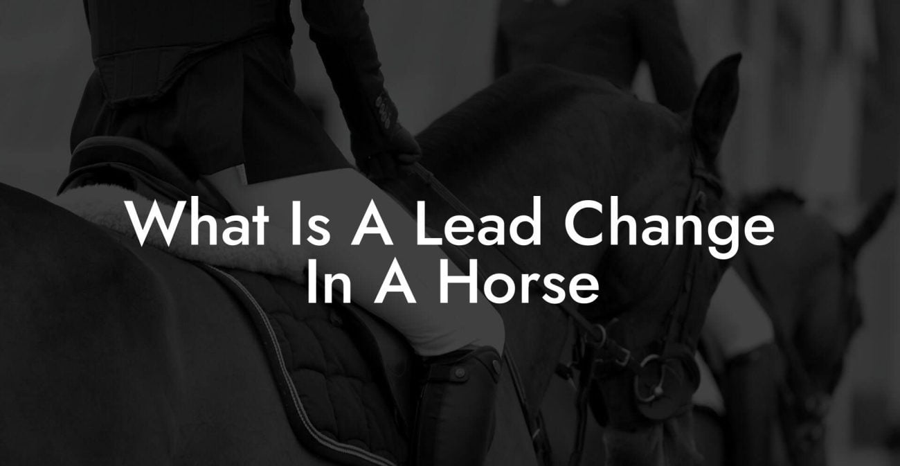 What Is A Lead Change In A Horse