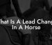 What Is A Lead Change In A Horse