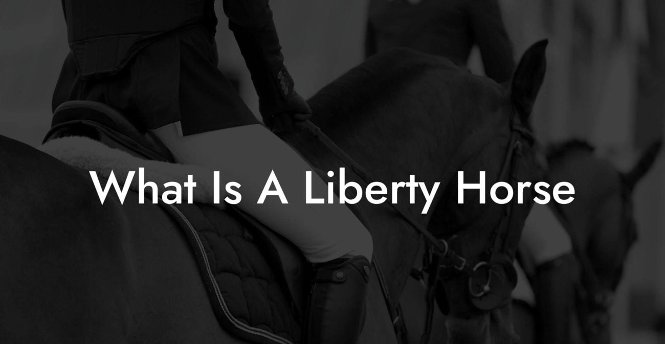 What Is A Liberty Horse