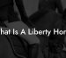 What Is A Liberty Horse