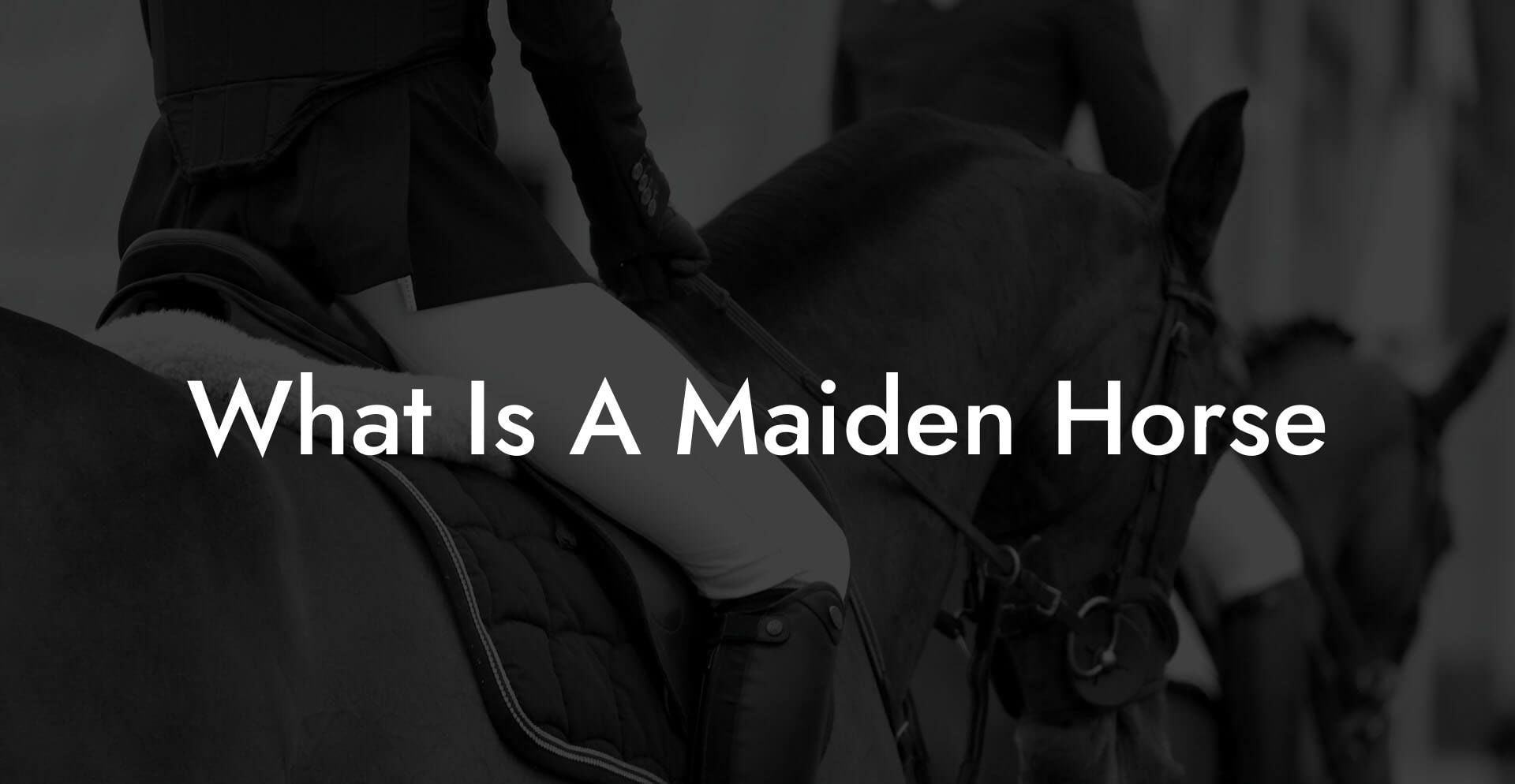 What Is A Maiden Horse