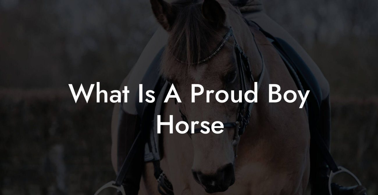 What Is A Proud Boy Horse