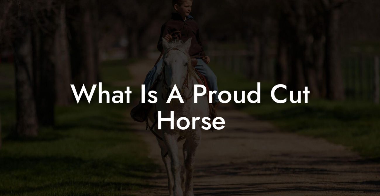 What Is A Proud Cut Horse - How To Own a Horse