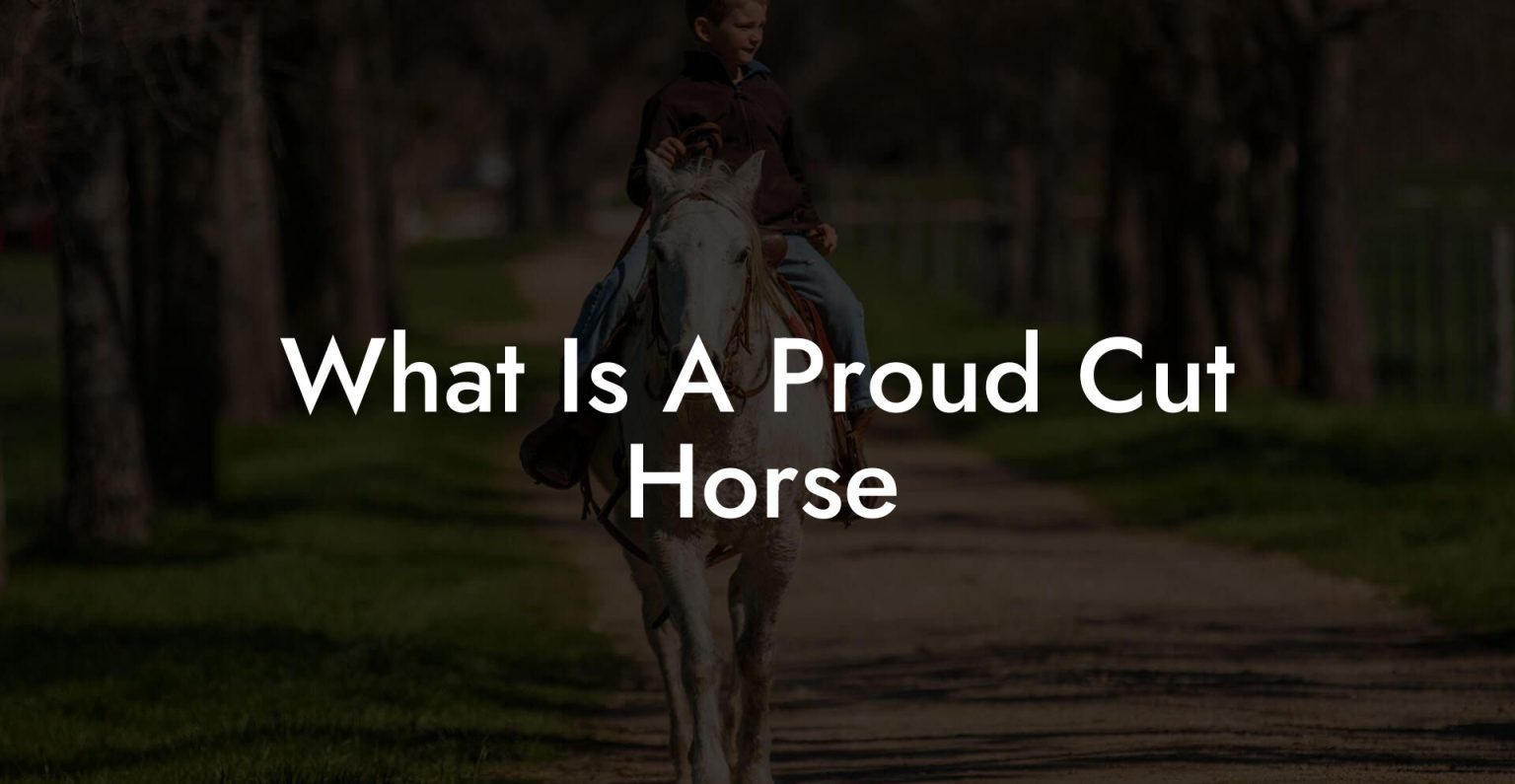 What Is A Proud Cut Horse How To Own a Horse