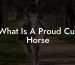 What Is A Proud Cut Horse