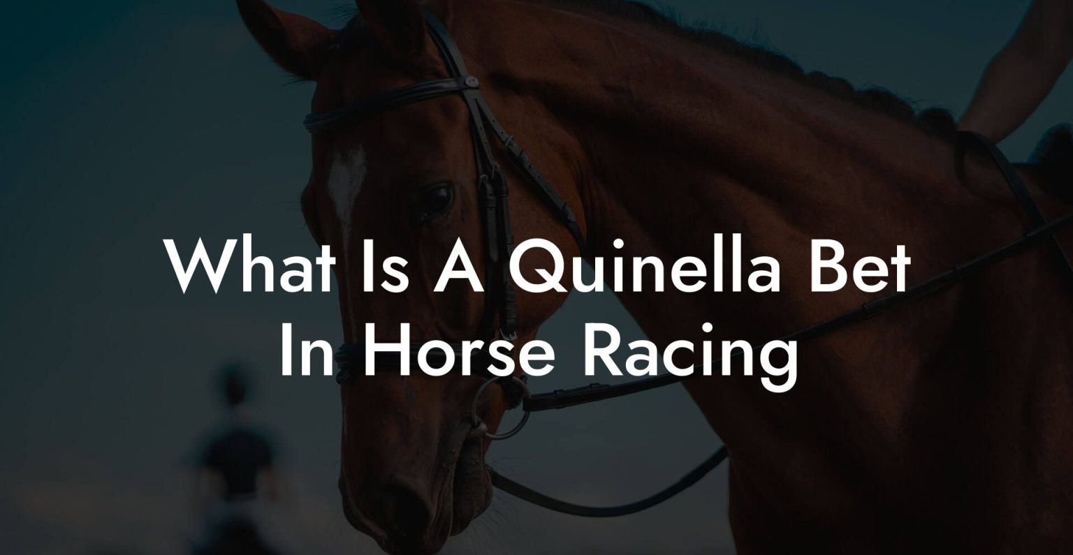 What Is A Quinella Bet In Horse Racing How To Own a Horse