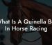What Is A Quinella Bet In Horse Racing