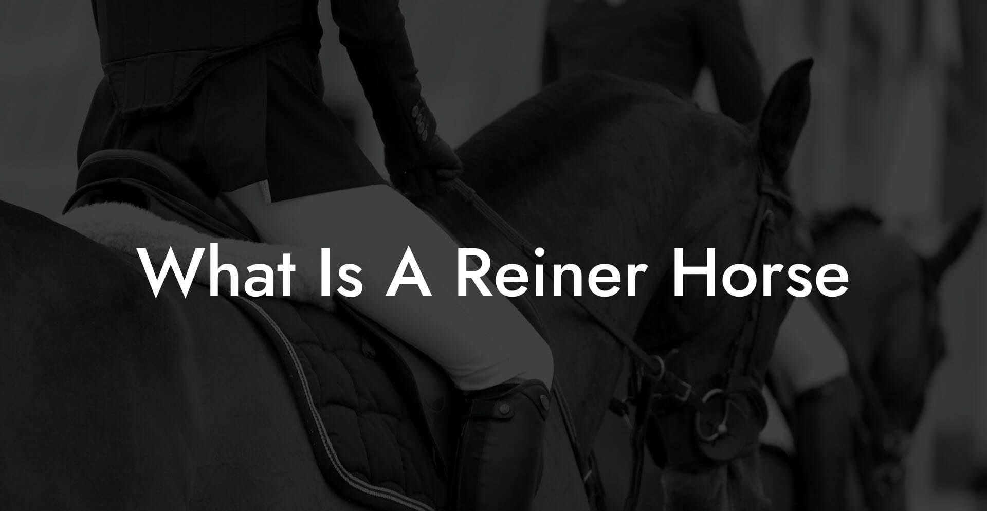 What Is A Reiner Horse