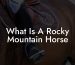 What Is A Rocky Mountain Horse