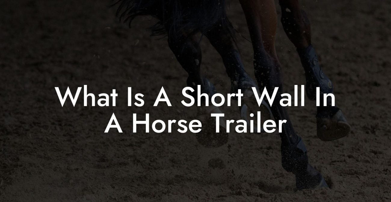 What Is A Short Wall In A Horse Trailer