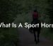 What Is A Sport Horse