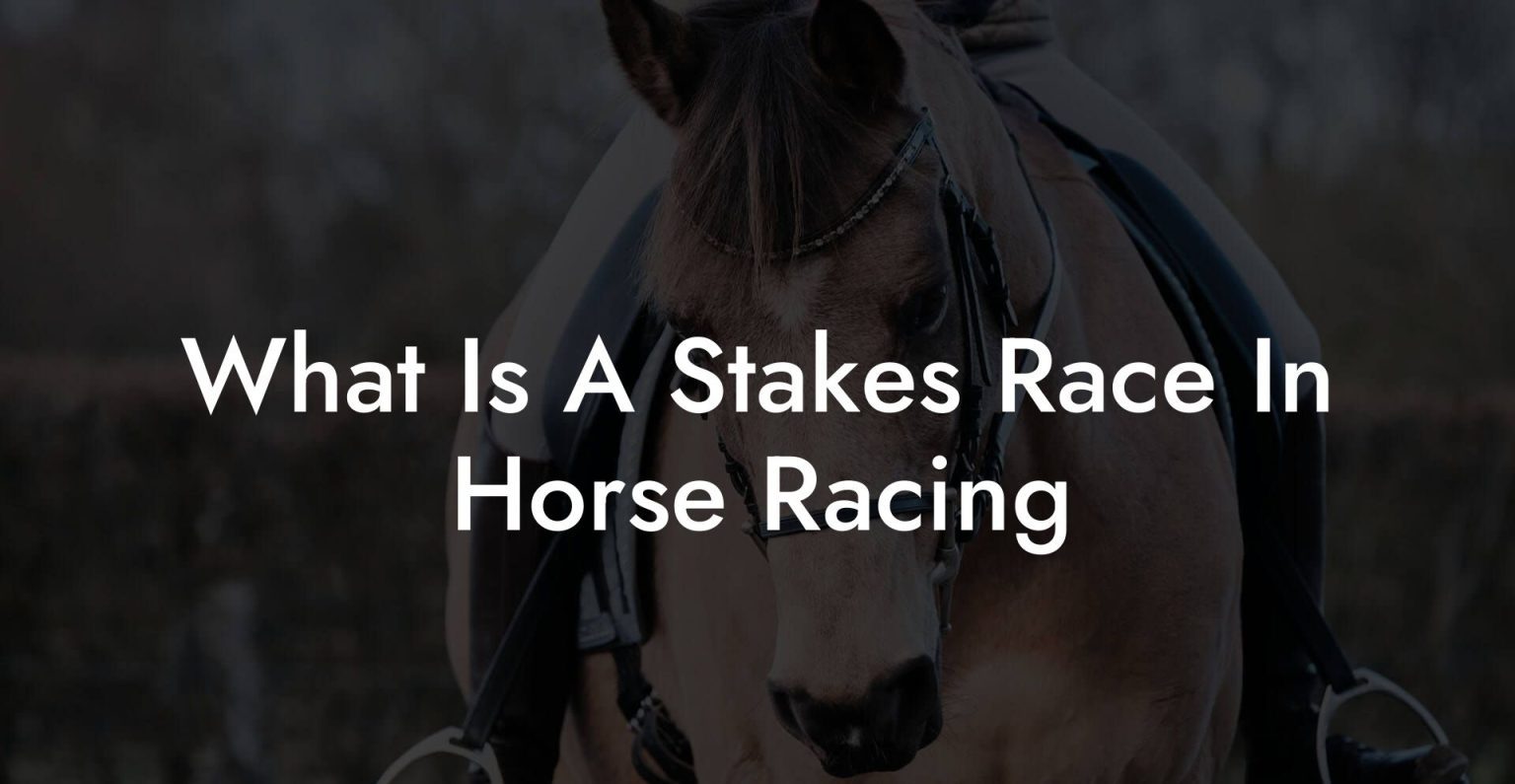 What Is A Stakes Race