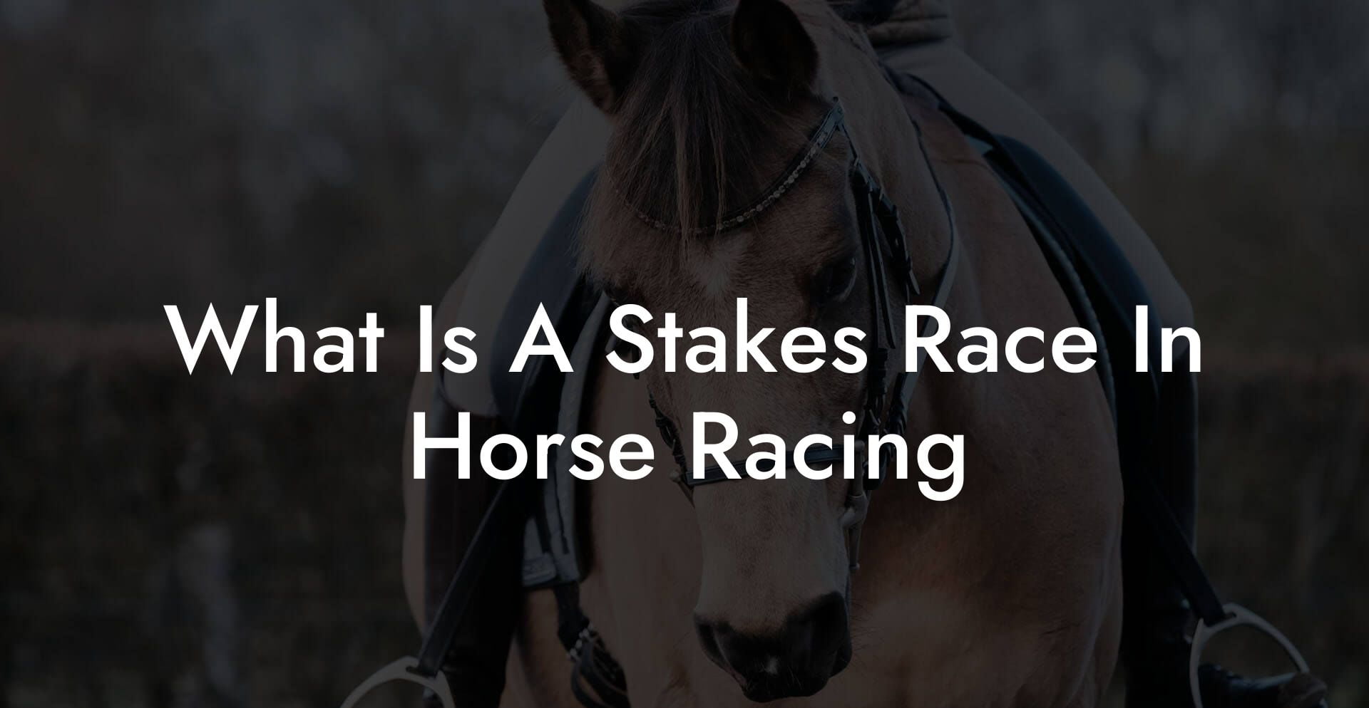 What Is A Stakes Race In Horse Racing