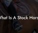 What Is A Stock Horse