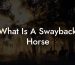 What Is A Swayback Horse