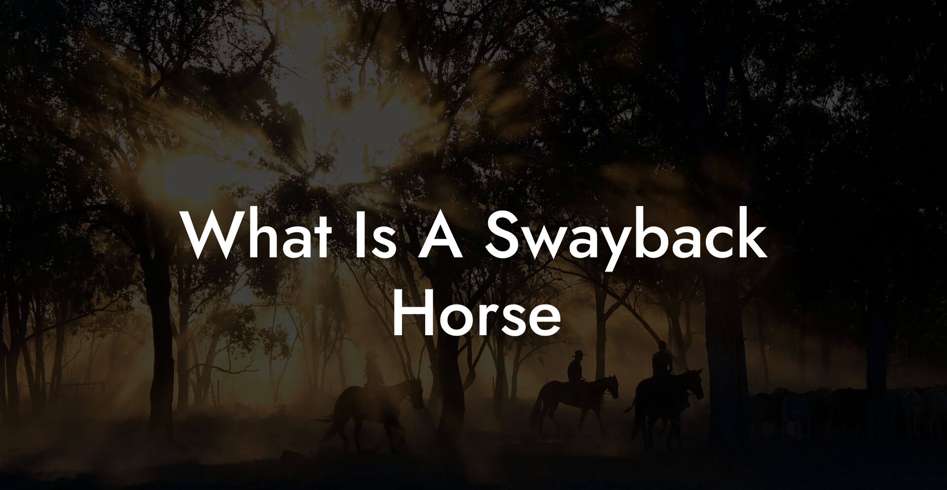 What Is A Swayback Horse