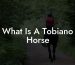 What Is A Tobiano Horse