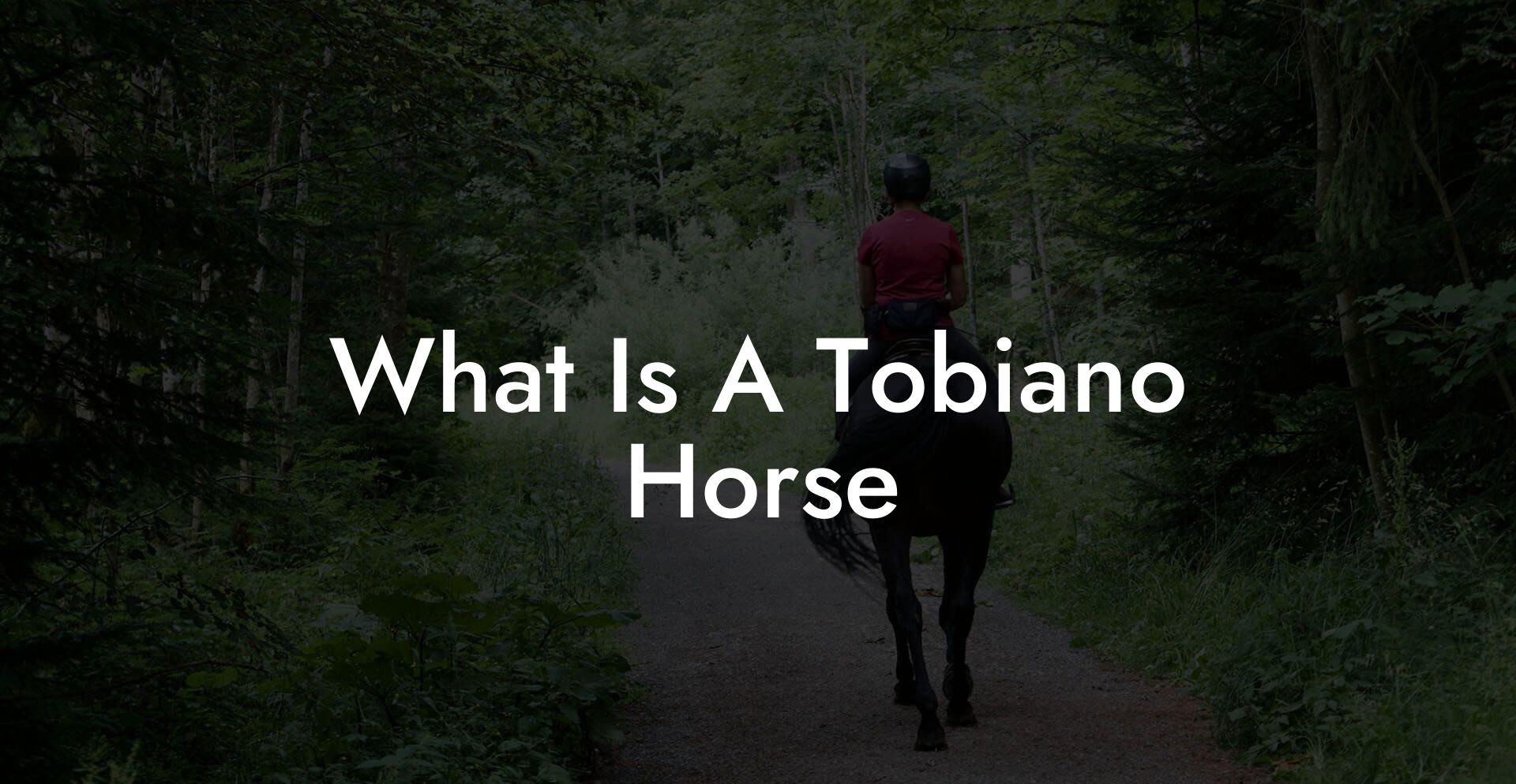 What Is A Tobiano Horse