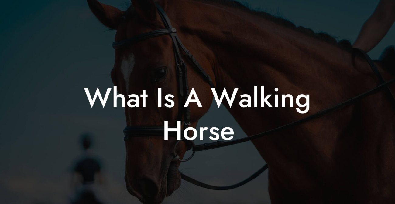 What Is A Walking Horse