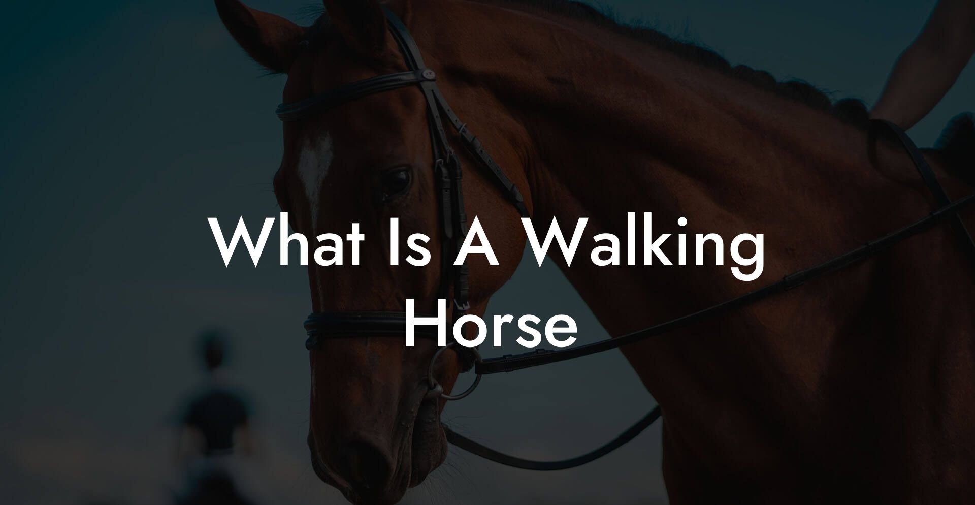 What Is A Walking Horse