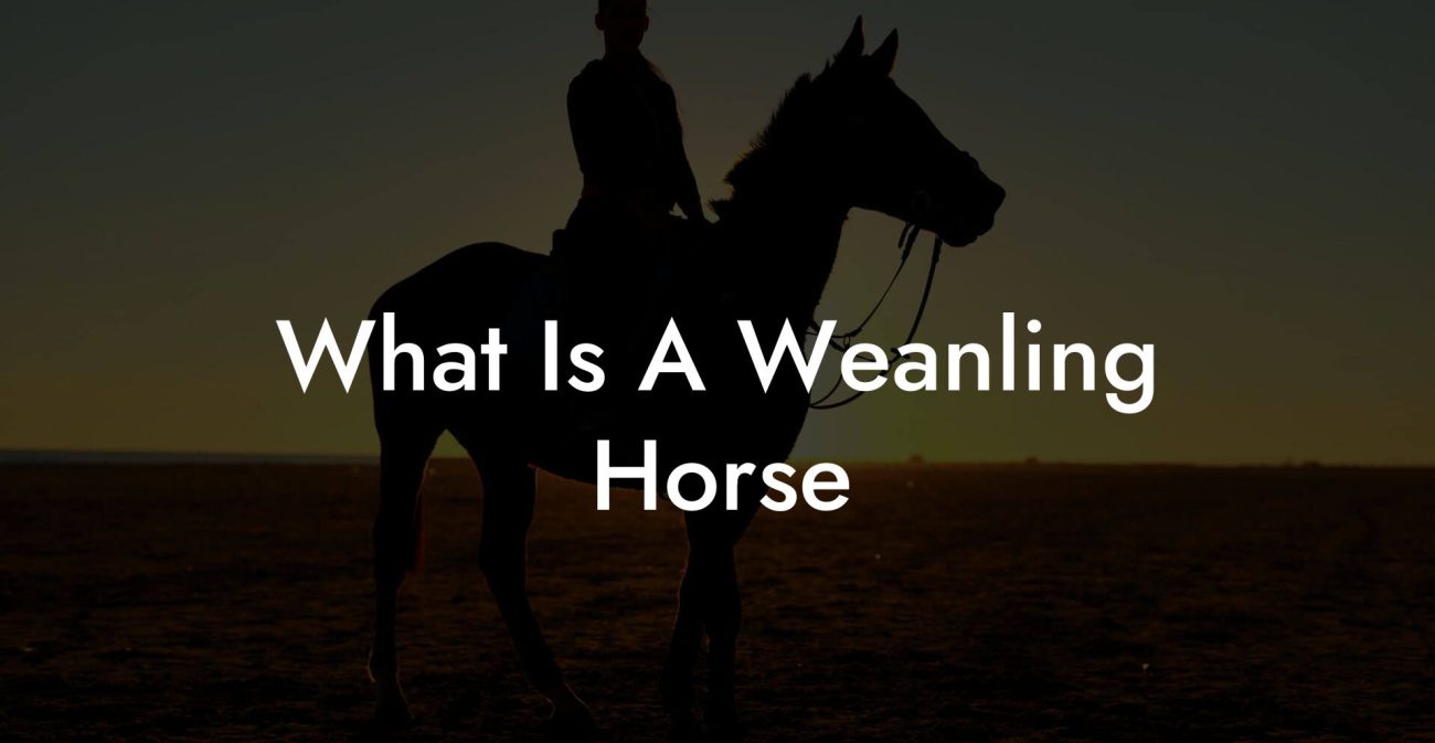 What Is A Weanling Horse