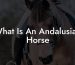 What Is An Andalusian Horse