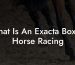 What Is An Exacta Box In Horse Racing