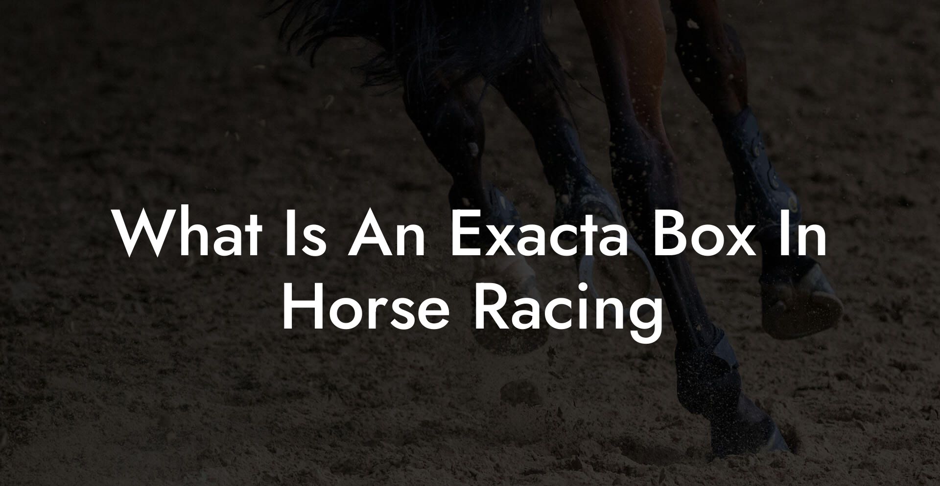 What Is An Exacta Box In Horse Racing