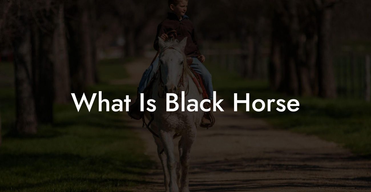 What Is Black Horse