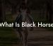 What Is Black Horse