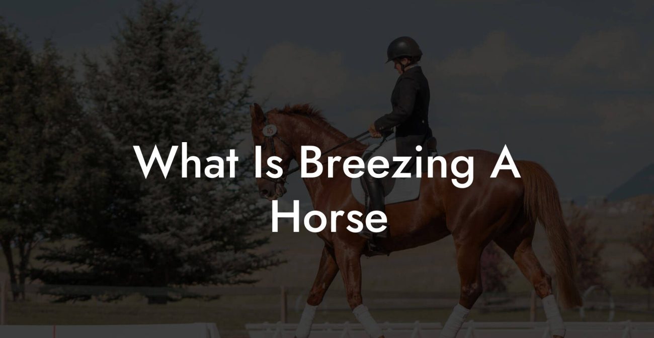 What Is Breezing A Horse