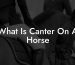 What Is Canter On A Horse