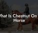 What Is Chestnut On A Horse