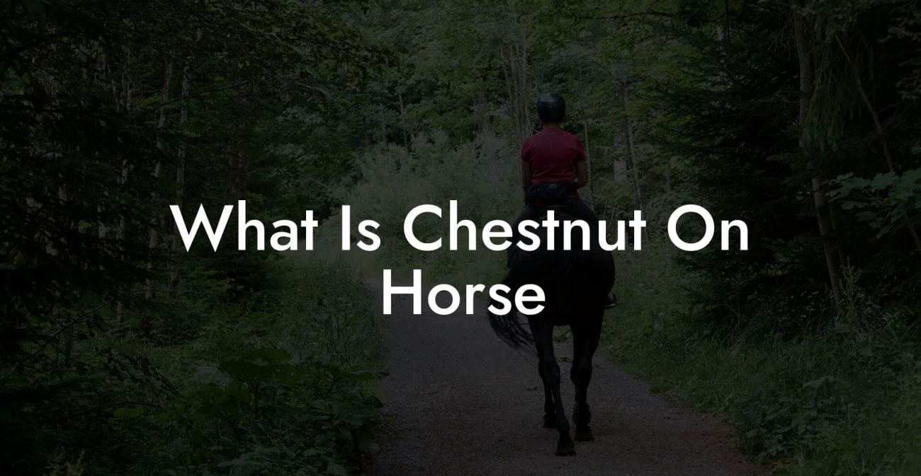 What Is Chestnut On Horse