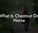 What Is Chestnut On Horse