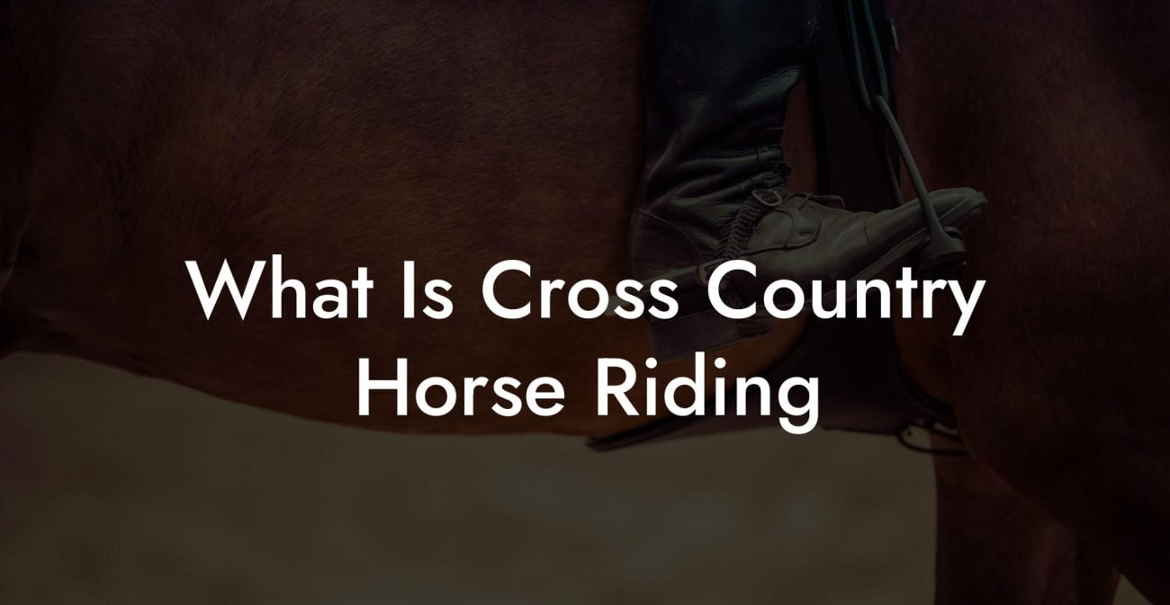 What Is Cross Country Horse Riding