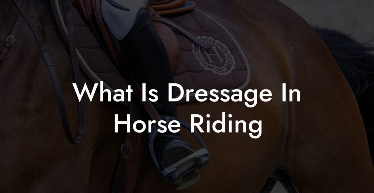 What Is Dressage In Horse Riding