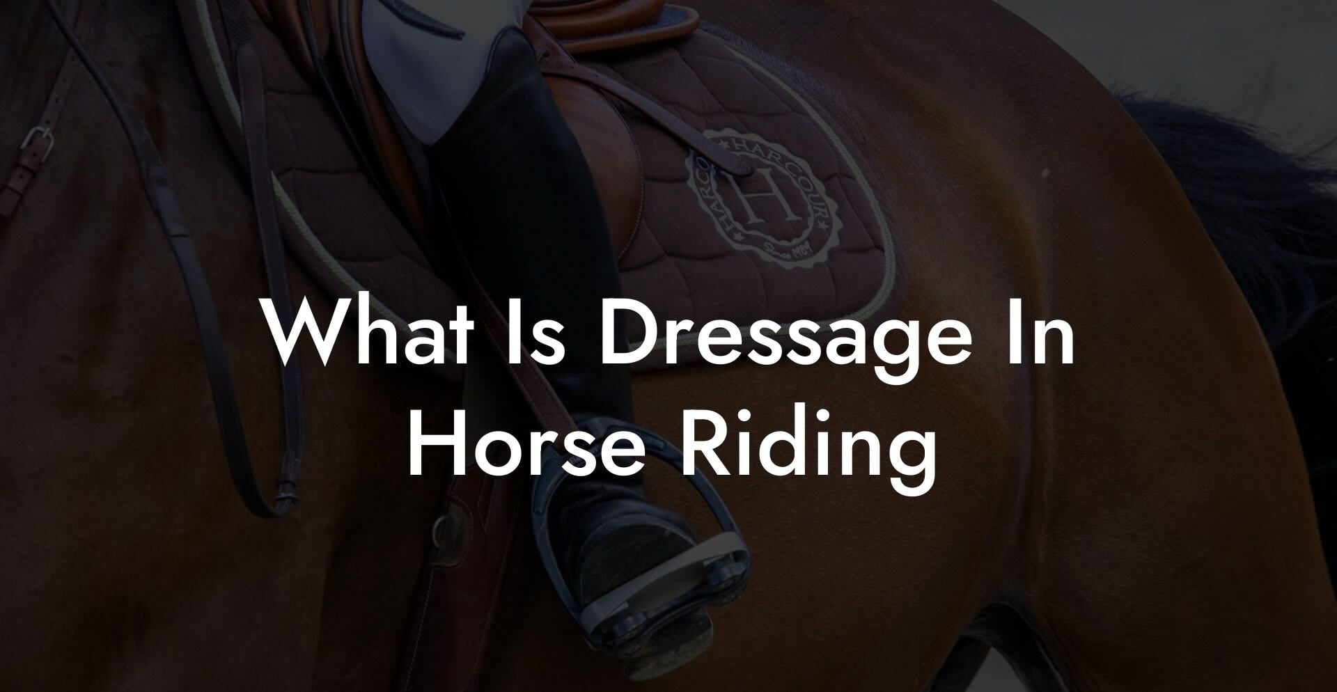 What Is Dressage In Horse Riding