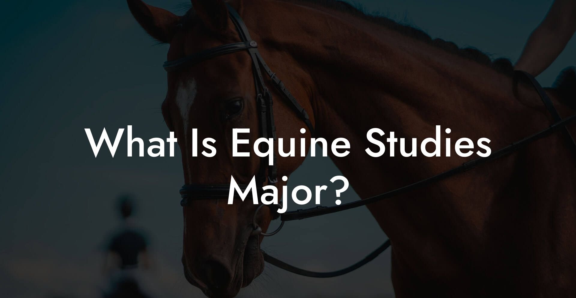 What Is Equine Studies Major?