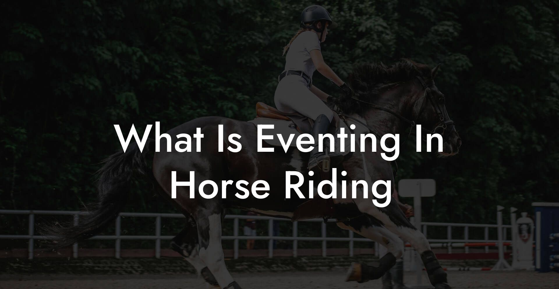 What Is Eventing In Horse Riding