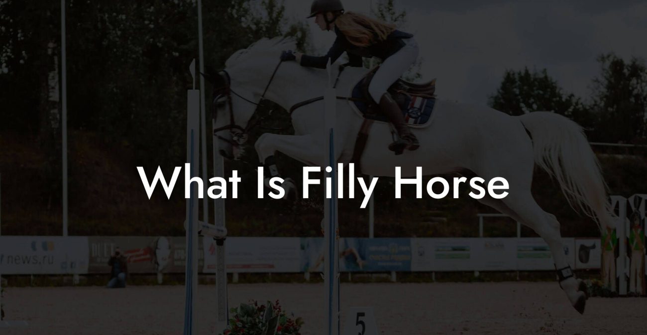 What Is Filly Horse