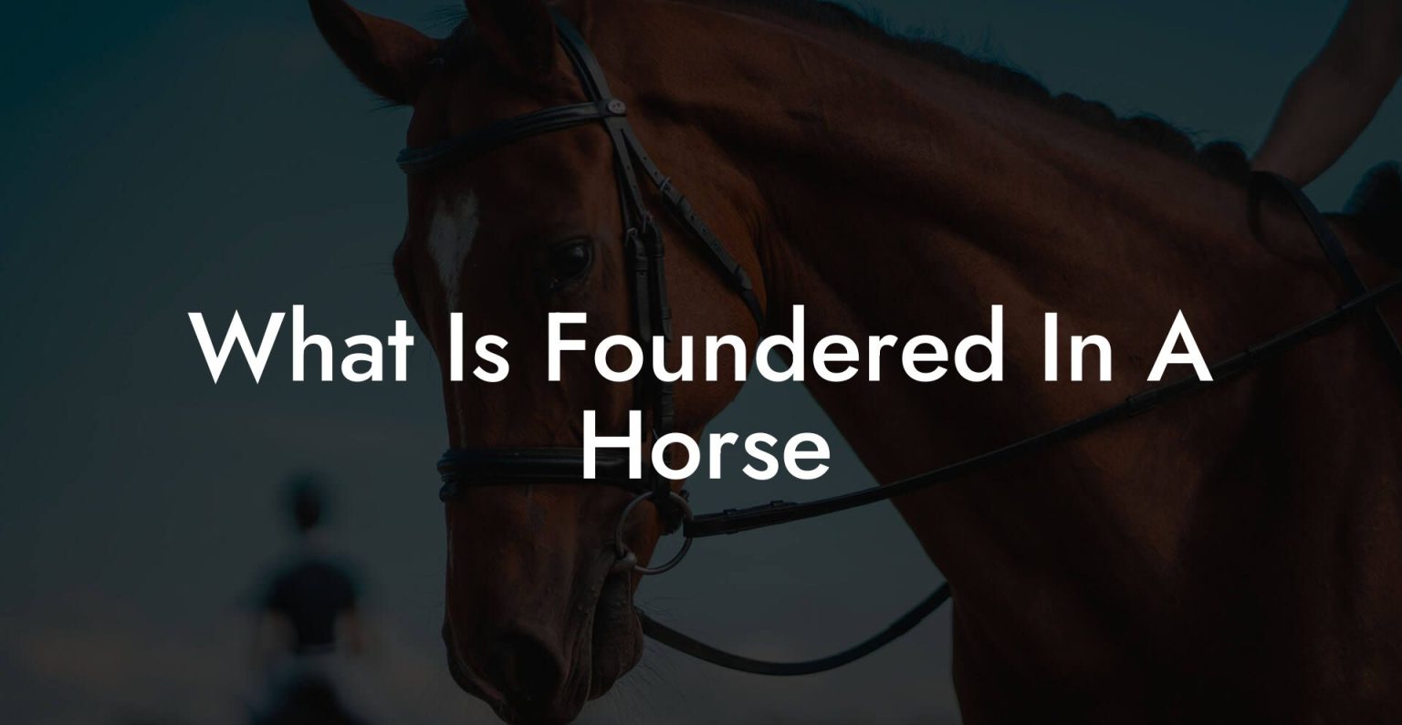 What Is Foundered In A Horse How To Own a Horse