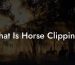 What Is Horse Clipping?