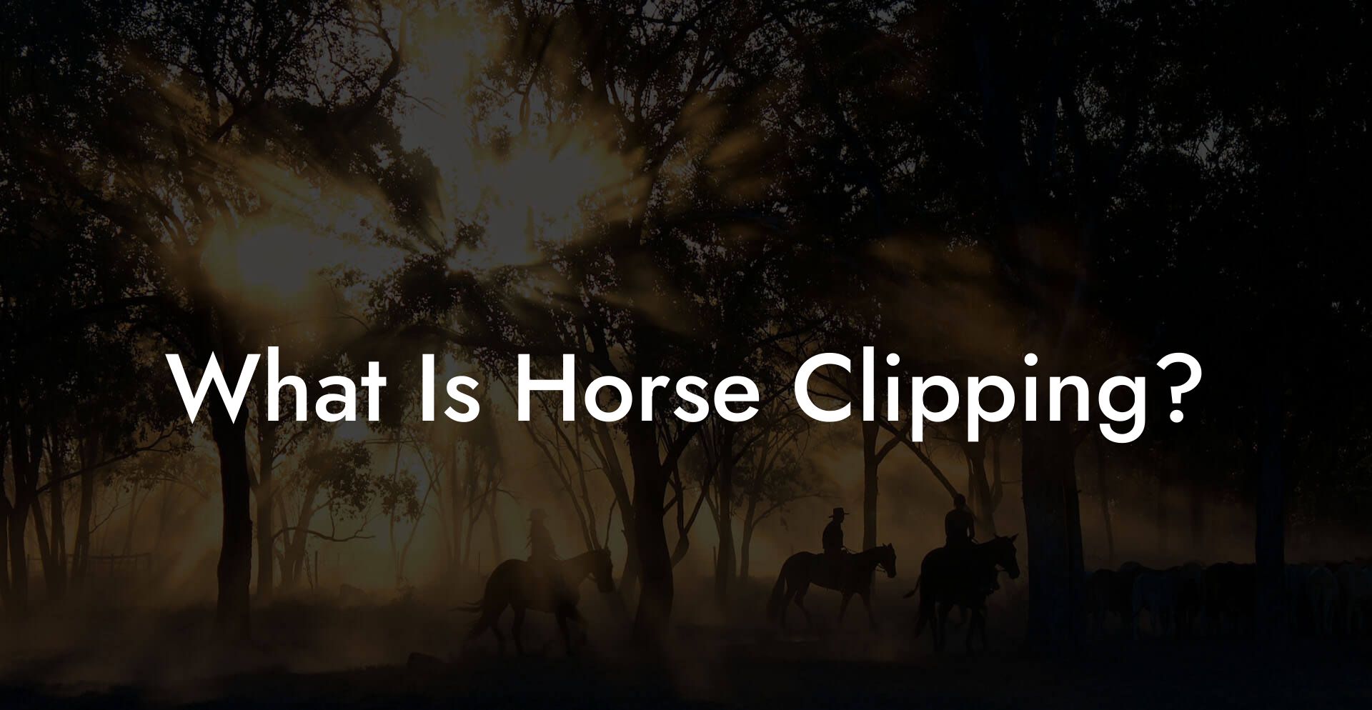 What Is Horse Clipping?