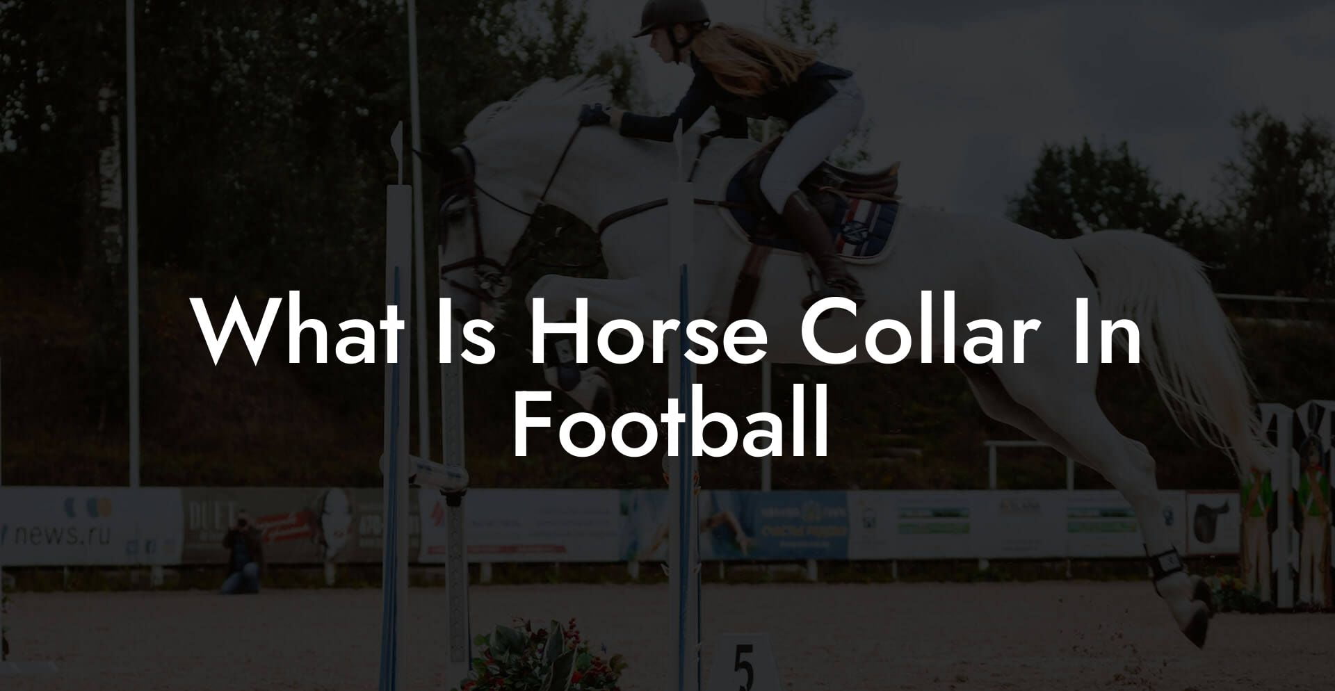 What Is Horse Collar In Football