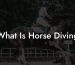 What Is Horse Diving