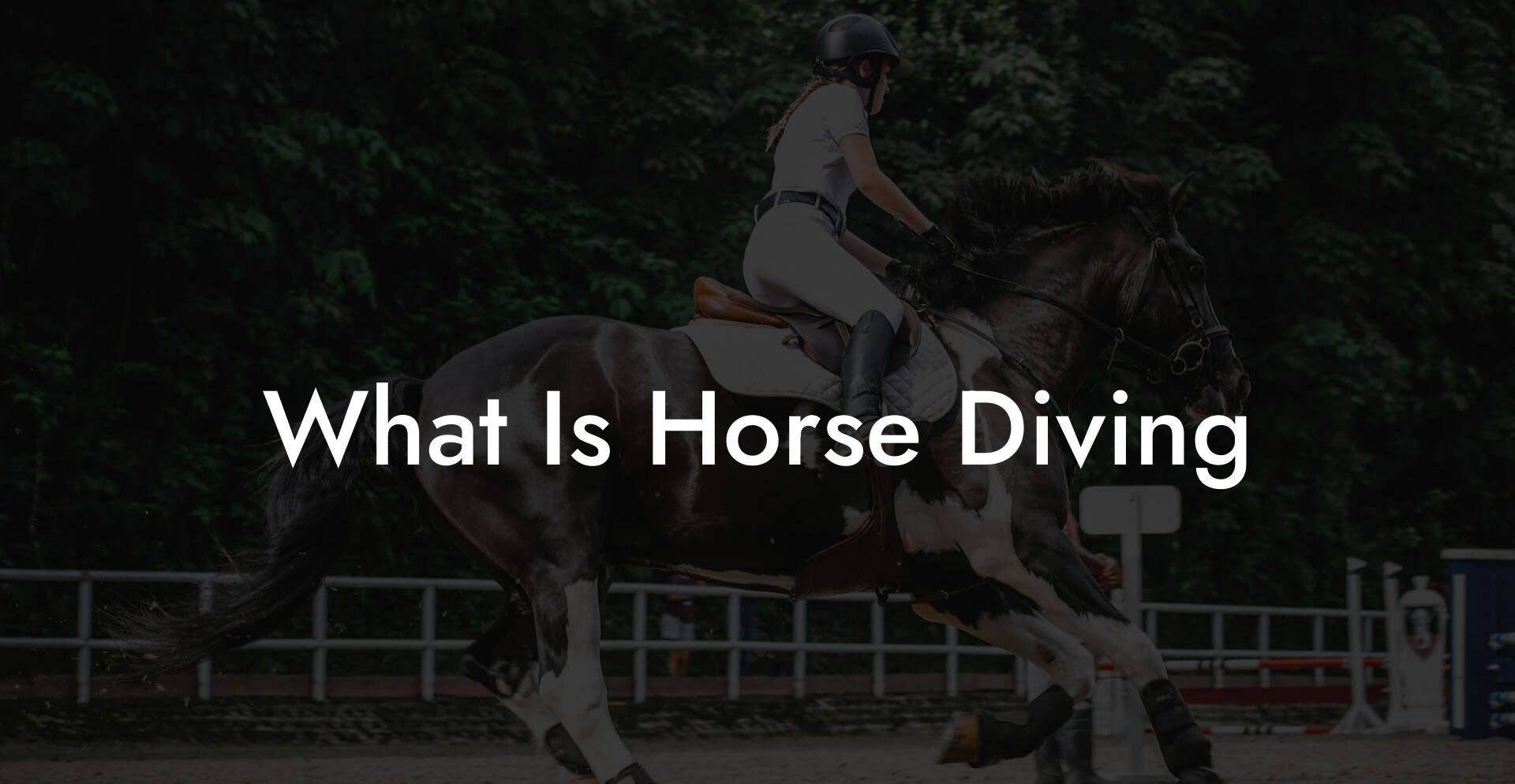 What Is Horse Diving